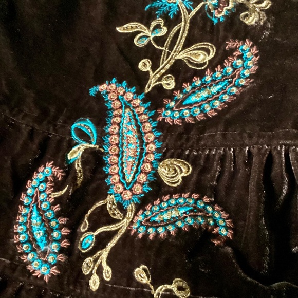 Embroidered & Beaded Velvet Broom Skirt - Picture 15 of 16